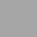 RAL 9006 